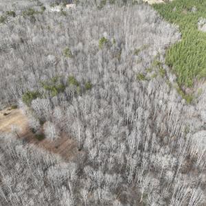 Photo #57 of Off Yorkshire Drive, Sandy Level, VA 20.0 acres
