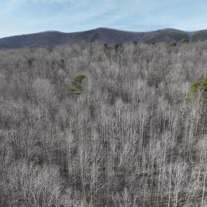 Photo #64 of Off Yorkshire Drive, Sandy Level, VA 20.0 acres