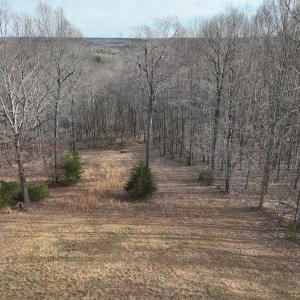Photo #66 of Off Yorkshire Drive, Sandy Level, VA 20.0 acres