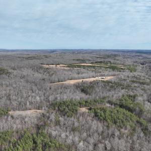 Photo #70 of Off Yorkshire Drive, Sandy Level, VA 20.0 acres