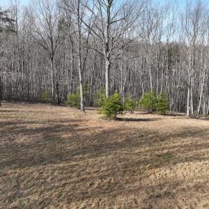 Photo #75 of Off Yorkshire Drive, Sandy Level, VA 20.0 acres