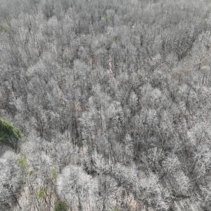 Photo #61 of Off Yorkshire Drive, Sandy Level, VA 20.0 acres