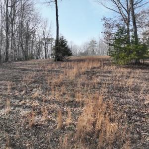 Photo #80 of Off Yorkshire Drive, Sandy Level, VA 20.0 acres
