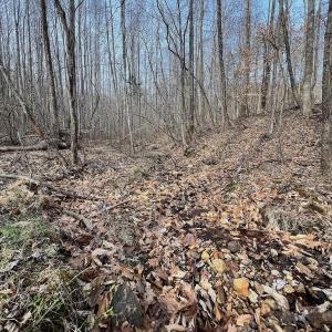 Photo #86 of Off Yorkshire Drive, Sandy Level, VA 20.0 acres