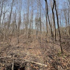 Photo #87 of Off Yorkshire Drive, Sandy Level, VA 20.0 acres