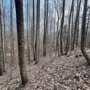 Photo #91 of Off Yorkshire Drive, Sandy Level, VA 20.0 acres