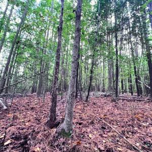 Photo #9 of Off Old Lewis School Road, Middlesex, NC 12.2 acres