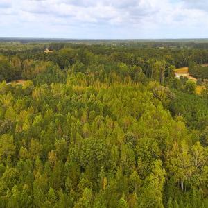 Photo #12 of Off Old Lewis School Road, Middlesex, NC 12.2 acres