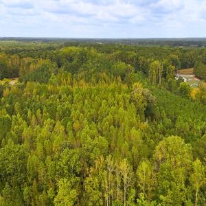 Photo #13 of Off Old Lewis School Road, Middlesex, NC 12.2 acres