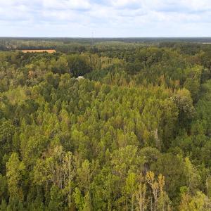 Photo #14 of Off Old Lewis School Road, Middlesex, NC 12.2 acres