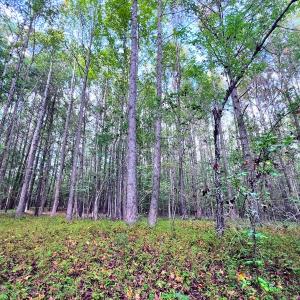Photo #1 of Off Old Lewis School Road, Middlesex, NC 12.2 acres