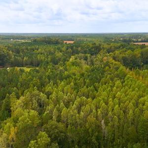 Photo #18 of Off Old Lewis School Road, Middlesex, NC 12.2 acres