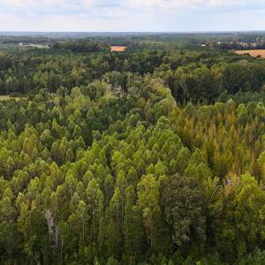 Photo #19 of Off Old Lewis School Road, Middlesex, NC 12.2 acres