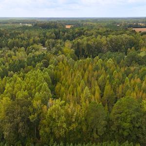 Photo #20 of Off Old Lewis School Road, Middlesex, NC 12.2 acres