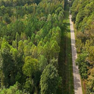 Photo #22 of Off Old Lewis School Road, Middlesex, NC 12.2 acres