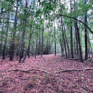 Photo #24 of Off Old Lewis School Road, Middlesex, NC 12.2 acres