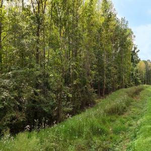 Photo #26 of Off Old Lewis School Road, Middlesex, NC 12.2 acres