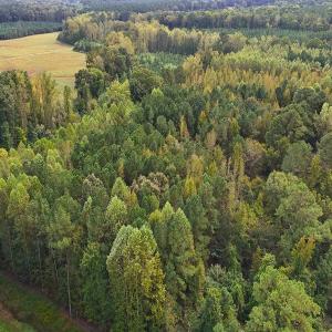 Photo #2 of Off Old Lewis School Road, Middlesex, NC 12.2 acres