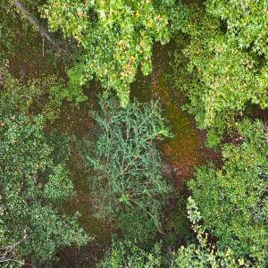 Photo #29 of Off Old Lewis School Road, Middlesex, NC 12.2 acres