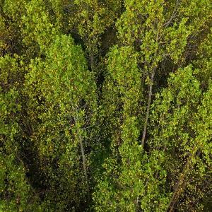 Photo #30 of Off Old Lewis School Road, Middlesex, NC 12.2 acres