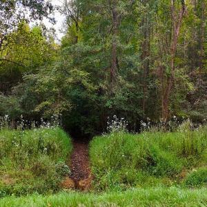 Photo #31 of Off Old Lewis School Road, Middlesex, NC 12.2 acres