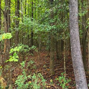 Photo #32 of Off Old Lewis School Road, Middlesex, NC 12.2 acres