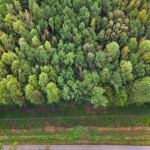Photo #33 of Off Old Lewis School Road, Middlesex, NC 12.2 acres