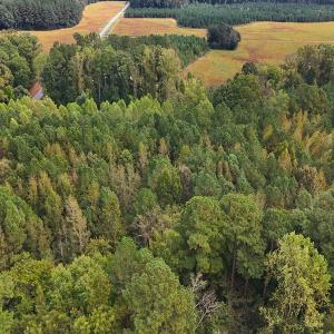 Photo #4 of Off Old Lewis School Road, Middlesex, NC 12.2 acres