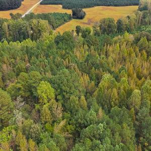 Photo #5 of Off Old Lewis School Road, Middlesex, NC 12.2 acres