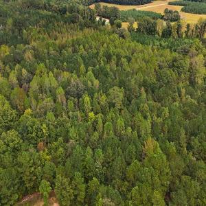 Photo #6 of Off Old Lewis School Road, Middlesex, NC 12.2 acres