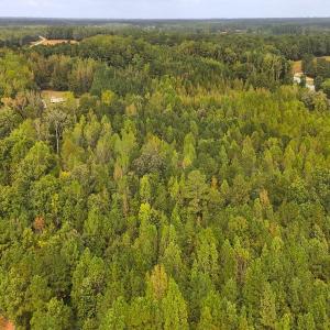 Photo #7 of Off Old Lewis School Road, Middlesex, NC 12.2 acres