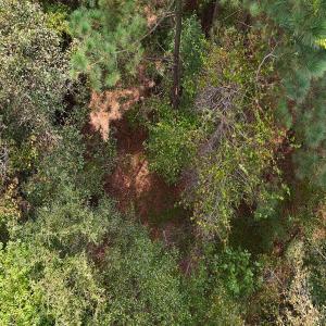 Photo #8 of Off Old Lewis School Road, Middlesex, NC 12.2 acres
