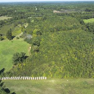 Photo #7 of 174, 176 & 135 BARKER RD, Semora, NC 36.5 acres