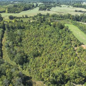 Photo #10 of 174, 176 & 135 BARKER RD, Semora, NC 36.5 acres