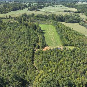 Photo #12 of 174, 176 & 135 BARKER RD, Semora, NC 36.5 acres
