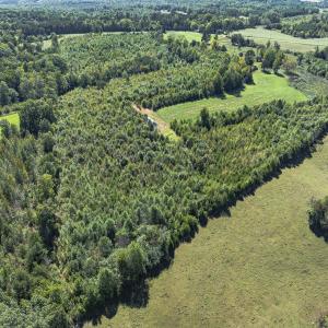 Photo #14 of 174, 176 & 135 BARKER RD, Semora, NC 36.5 acres