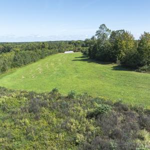 Photo #16 of 174, 176 & 135 BARKER RD, Semora, NC 36.5 acres