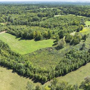 Photo #17 of 174, 176 & 135 BARKER RD, Semora, NC 36.5 acres
