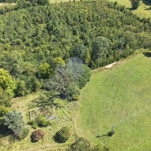 Photo #19 of 174, 176 & 135 BARKER RD, Semora, NC 36.5 acres