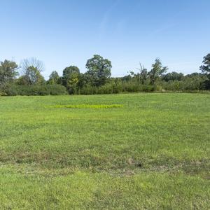 Photo #20 of 174, 176 & 135 BARKER RD, Semora, NC 36.5 acres
