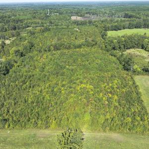 Photo #23 of 174, 176 & 135 BARKER RD, Semora, NC 36.5 acres
