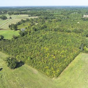 Photo #25 of 174, 176 & 135 BARKER RD, Semora, NC 36.5 acres