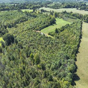 Photo #28 of 174, 176 & 135 BARKER RD, Semora, NC 36.5 acres