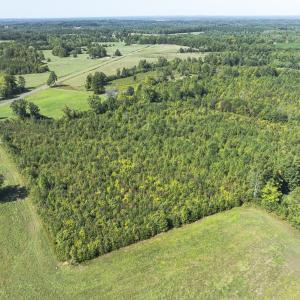 Photo #29 of 174, 176 & 135 BARKER RD, Semora, NC 36.5 acres