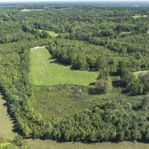Photo #30 of 174, 176 & 135 BARKER RD, Semora, NC 36.5 acres