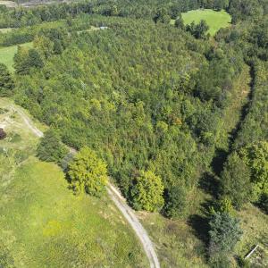 Photo #31 of 174, 176 & 135 BARKER RD, Semora, NC 36.5 acres