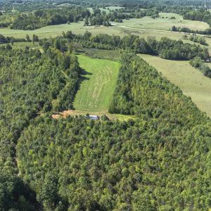 Photo #34 of 174, 176 & 135 BARKER RD, Semora, NC 36.5 acres