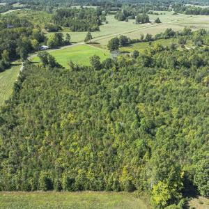 Photo #35 of 174, 176 & 135 BARKER RD, Semora, NC 36.5 acres