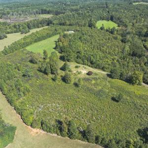 Photo #36 of 174, 176 & 135 BARKER RD, Semora, NC 36.5 acres