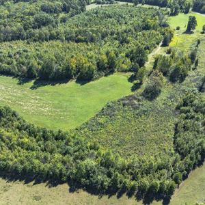 Photo #37 of 174, 176 & 135 BARKER RD, Semora, NC 36.5 acres